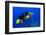 Green sea turtle (Chelonia mydas) gets cleaned by yellow tangs (Zebrasoma flavescens)-Andre Seale-Framed Photographic Print