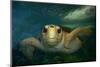 Green sea turtle (Chelonia mydas) head detail, Kailua-Kona, Hawaii-Andre Seale-Mounted Photographic Print