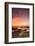 Green Sea Turtle (Chelonia mydas) on shore at sunset near Kona, Big Island, Hawaii-Stuart Westmorland-Framed Photographic Print