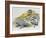 Green Sea Turtle or Pacific Green Turtle (Chelonia Mydas) Hatchlings on Beach, Cheloniidae-null-Framed Giclee Print