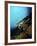 Green Sea Turtle Resting On a Plate Coral, North Sulawesi-Stocktrek Images-Framed Photographic Print