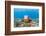 Green sea turtle swimming over a reef, Hawaii-David Fleetham-Framed Photographic Print