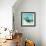 Green Sea Turtle-Corina St. Martin-Framed Giclee Print displayed on a wall