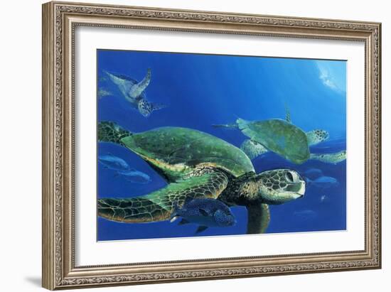 Green Sea Turtles-Durwood Coffey-Framed Giclee Print