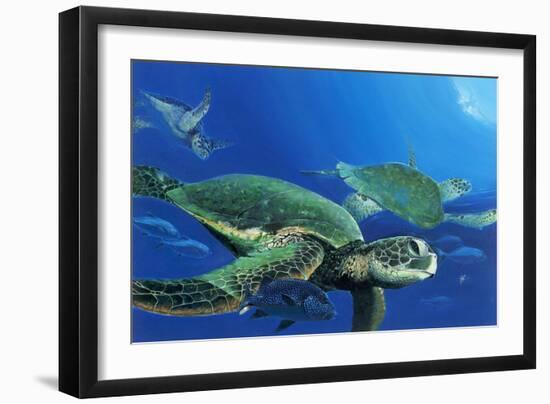 Green Sea Turtles-Durwood Coffey-Framed Giclee Print