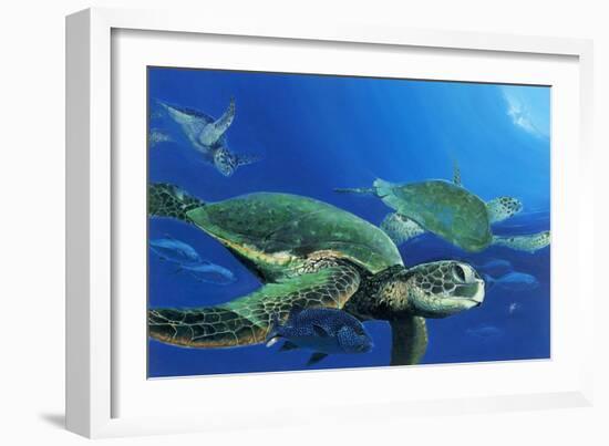 Green Sea Turtles-Durwood Coffey-Framed Giclee Print