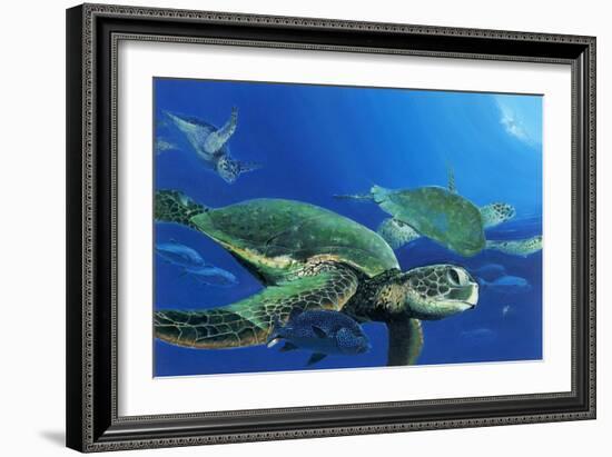 Green Sea Turtles-Durwood Coffey-Framed Premium Giclee Print