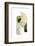 Green Shapes 2-Sally Ann Moss-Framed Photographic Print