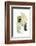 Green Shapes 2-Sally Ann Moss-Framed Photographic Print