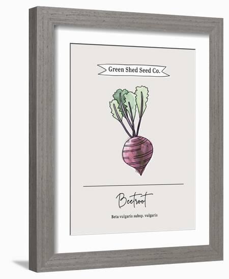 Green Shed Seeds - Beetroot-Clara Wells-Framed Giclee Print