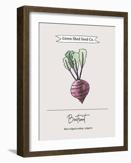 Green Shed Seeds - Beetroot-Clara Wells-Framed Giclee Print