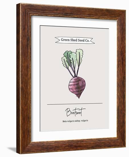 Green Shed Seeds - Beetroot-Clara Wells-Framed Giclee Print