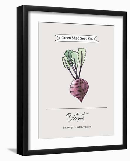 Green Shed Seeds - Beetroot-Clara Wells-Framed Giclee Print