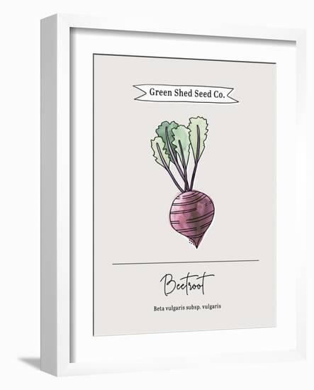 Green Shed Seeds - Beetroot-Clara Wells-Framed Giclee Print