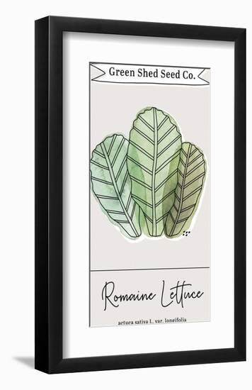 Green Shed Seeds - Lettuce-Clara Wells-Framed Giclee Print