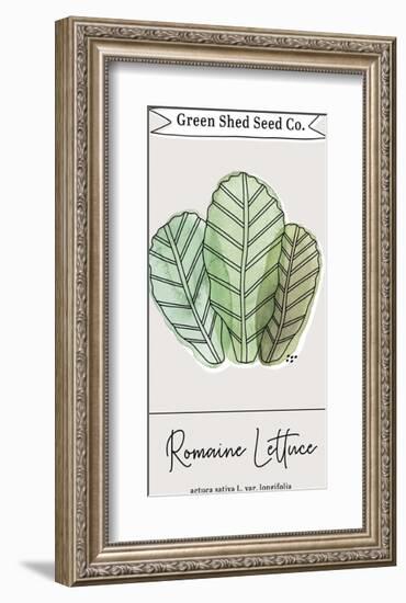 Green Shed Seeds - Lettuce-Clara Wells-Framed Giclee Print