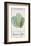 Green Shed Seeds - Lettuce-Clara Wells-Framed Giclee Print