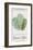 Green Shed Seeds - Lettuce-Clara Wells-Framed Giclee Print