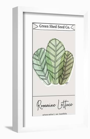 Green Shed Seeds - Lettuce-Clara Wells-Framed Giclee Print