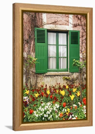 Green shutters at a window overlooking a garden in France-Tom Haseltine-Framed Premier Image Canvas