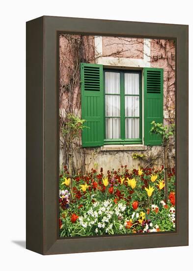 Green shutters at a window overlooking a garden in France-Tom Haseltine-Framed Premier Image Canvas