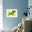 Green Smoke-GI ArtLab-Framed Giclee Print displayed on a wall