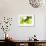 Green Smoke-GI ArtLab-Framed Giclee Print displayed on a wall
