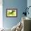 Green Smoke-GI ArtLab-Framed Giclee Print displayed on a wall