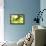 Green Smoke-GI ArtLab-Framed Premier Image Canvas displayed on a wall