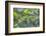 Green snake, New Smyrna Beach, Florida, Usa-Lisa S. Engelbrecht-Framed Photographic Print