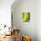 Green Snake Scales-Martin Harvey-Mounted Photographic Print displayed on a wall