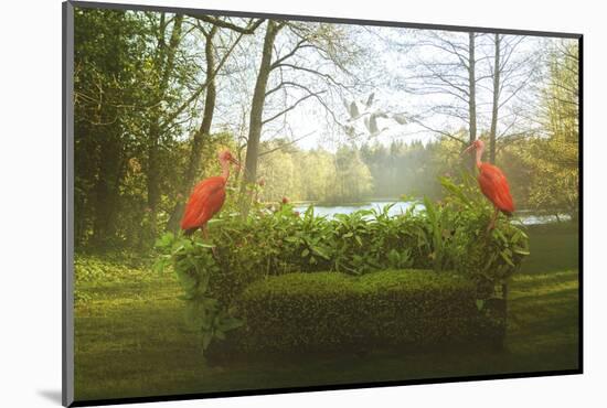 Green Sofa And Flamingos-Eleni Tzima-Mounted Photographic Print