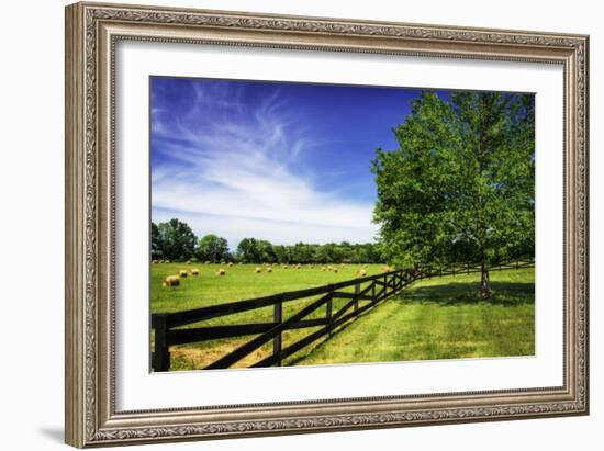 Green Springs Farm I-Alan Hausenflock-Framed Photographic Print