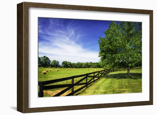 Green Springs Farm I-Alan Hausenflock-Framed Photographic Print