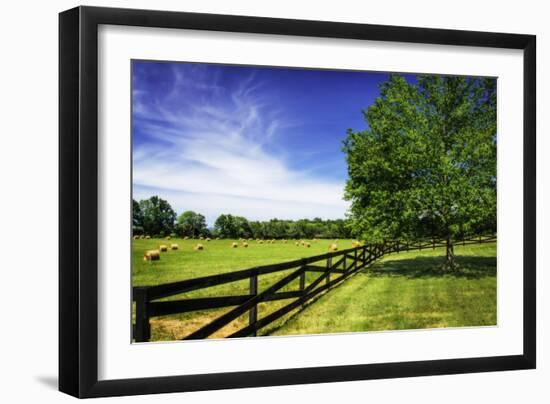 Green Springs Farm I-Alan Hausenflock-Framed Photographic Print