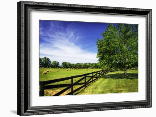 Green Springs Farm I-Alan Hausenflock-Framed Photographic Print