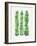 Green Stems-Cat Coquillette-Framed Giclee Print
