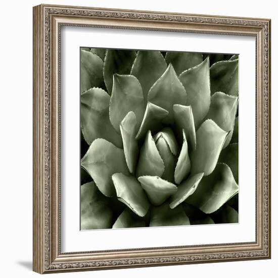 Green Succulent II-Mia Jensen-Framed Giclee Print