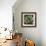 Green Succulent II-Mia Jensen-Framed Giclee Print displayed on a wall