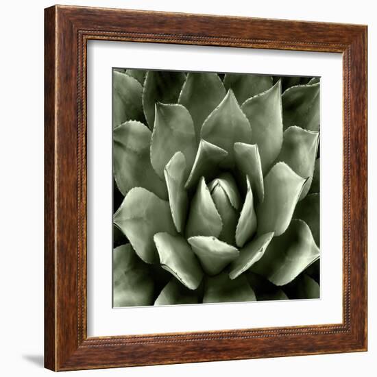 Green Succulent II-Mia Jensen-Framed Giclee Print