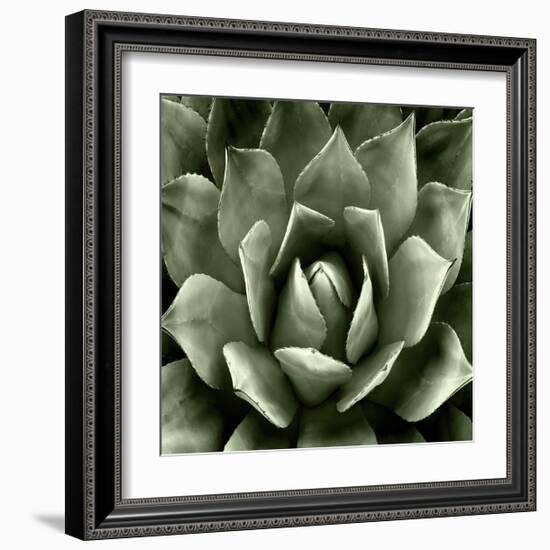 Green Succulent II-Mia Jensen-Framed Giclee Print