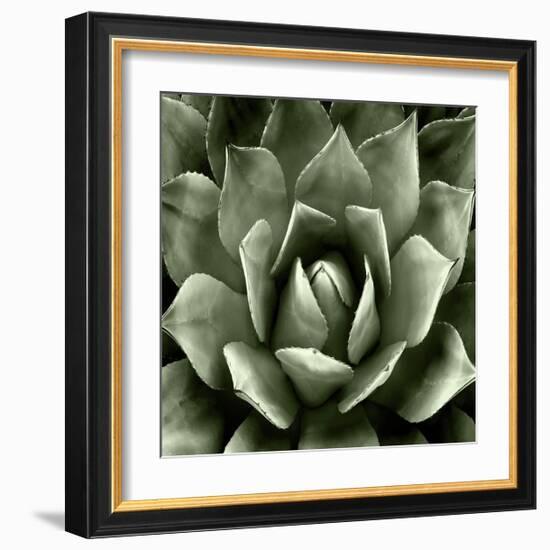 Green Succulent II-Mia Jensen-Framed Giclee Print