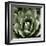 Green Succulent II-Mia Jensen-Framed Giclee Print