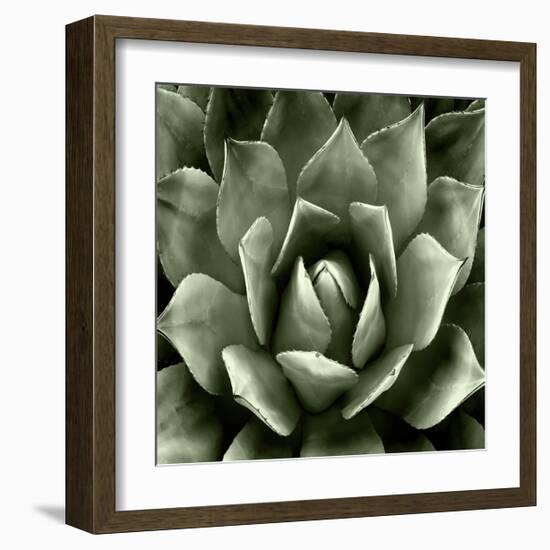 Green Succulent II-Mia Jensen-Framed Giclee Print