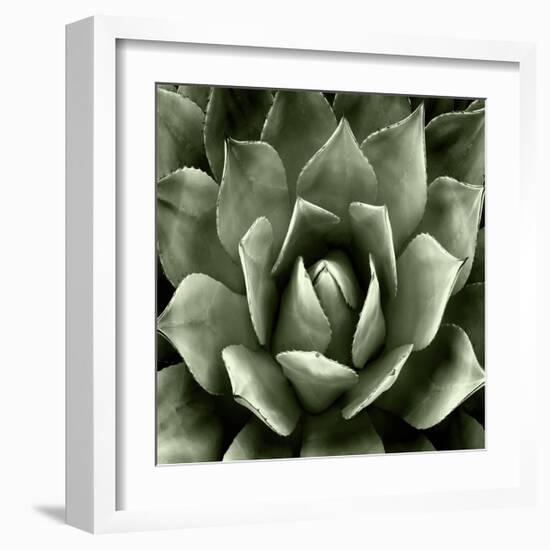 Green Succulent II-Mia Jensen-Framed Giclee Print