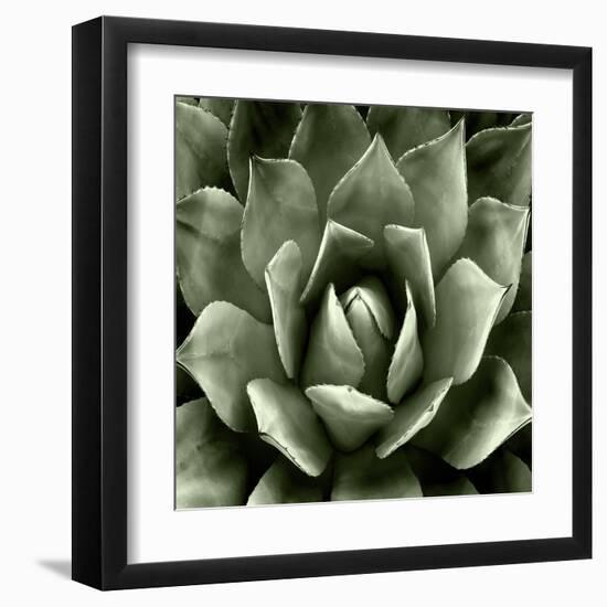 Green Succulent II-Mia Jensen-Framed Art Print