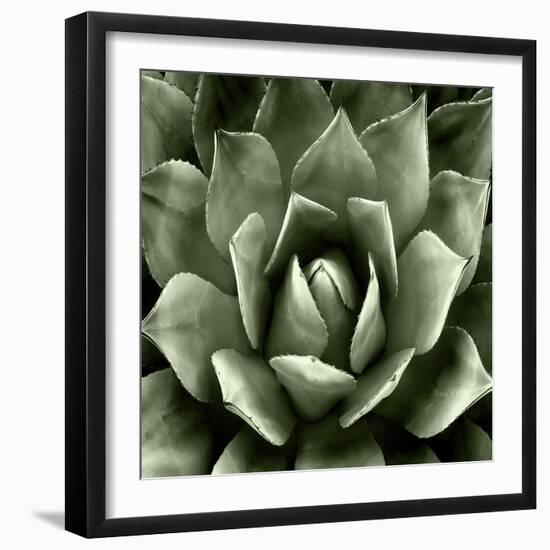 Green Succulent II-Mia Jensen-Framed Art Print