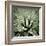 Green Succulent III-Mia Jensen-Framed Giclee Print