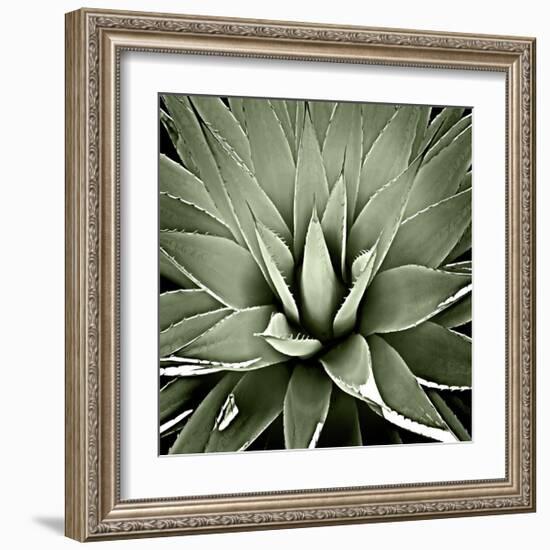 Green Succulent III-Mia Jensen-Framed Giclee Print