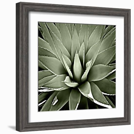 Green Succulent III-Mia Jensen-Framed Giclee Print